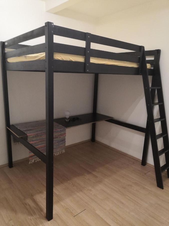 Economy Flat 18 Minutes From Vaclavske Namesti 布拉格 外观 照片